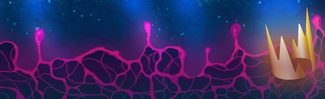 League of Legends. LEC Spring. Vainqueur